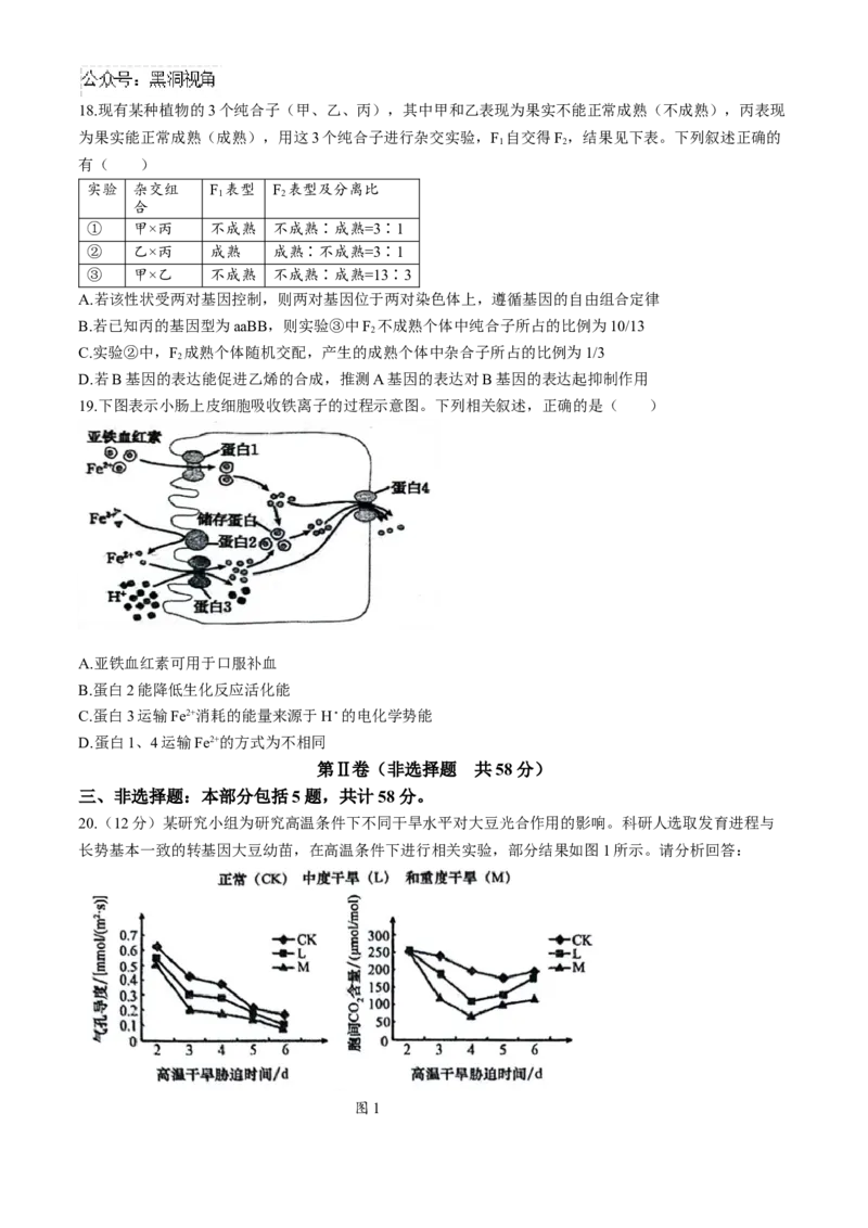 江苏省扬州市2024-2025学年高三上学期开学考试生物Word版含答案_2024-2025高三（6-6月题库）_2024年09月试卷_0907江苏省扬州市2024-2025学年高三上学期开学考试