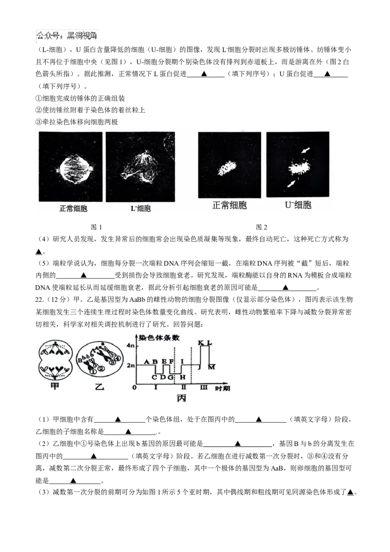 江苏省扬州市2024-2025学年高三上学期开学考试生物Word版含答案_2024-2025高三（6-6月题库）_2024年09月试卷_0907江苏省扬州市2024-2025学年高三上学期开学考试