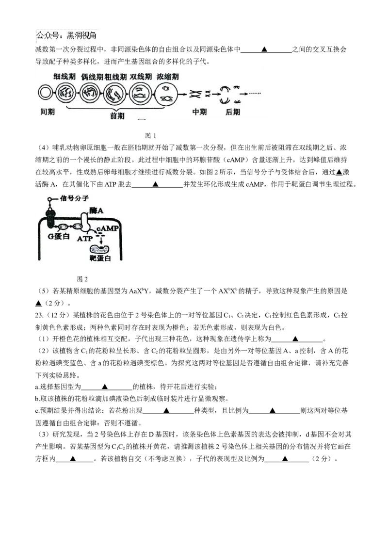 江苏省扬州市2024-2025学年高三上学期开学考试生物Word版含答案_2024-2025高三（6-6月题库）_2024年09月试卷_0907江苏省扬州市2024-2025学年高三上学期开学考试