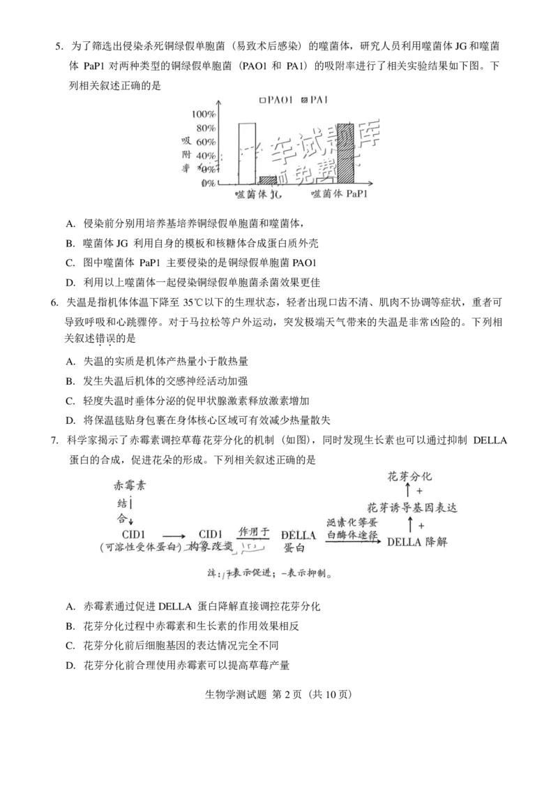 广东省韶关市2025届高三综合测试一生物试卷（PDF版含答案）_2024-2025高三（6-6月题库）_2024年11月试卷_1114广东省韶关市2025届高三综合测试(一)（全科）