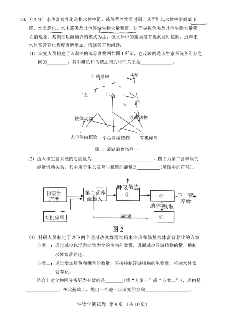 广东省韶关市2025届高三综合测试一生物试卷（PDF版含答案）_2024-2025高三（6-6月题库）_2024年11月试卷_1114广东省韶关市2025届高三综合测试(一)（全科）