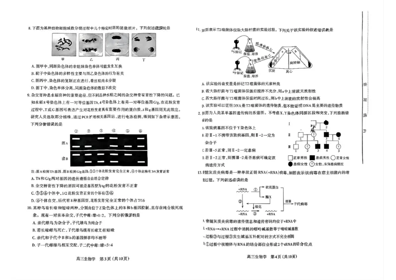 山西省太原市2024-2025学年第一学期期中测评高三生物试卷(PDF版，含答案)_2024-2025高三（6-6月题库）_2024年11月试卷_1114山西省太原市2024-2025学年高三第一学期期中测评（全科）