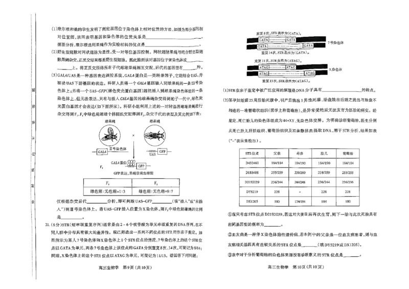 山西省太原市2024-2025学年第一学期期中测评高三生物试卷(PDF版，含答案)_2024-2025高三（6-6月题库）_2024年11月试卷_1114山西省太原市2024-2025学年高三第一学期期中测评（全科）