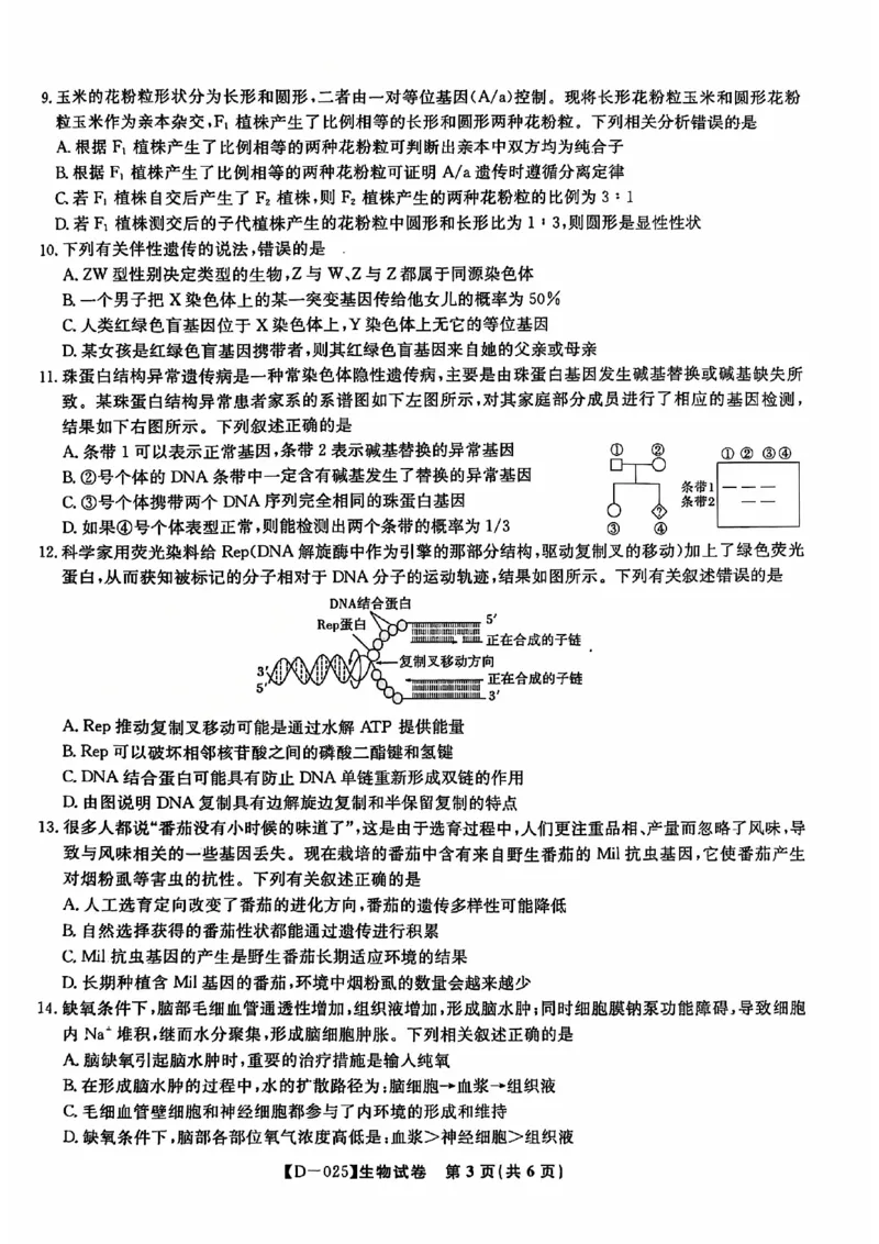安徽省蚌埠市2024-2025学年高三上学期12月月考生物试题_2024-2025高三（6-6月题库）_2024年12月试卷_1227安徽省皖江名校2024-2025学年高三上学期12月月考D-025
