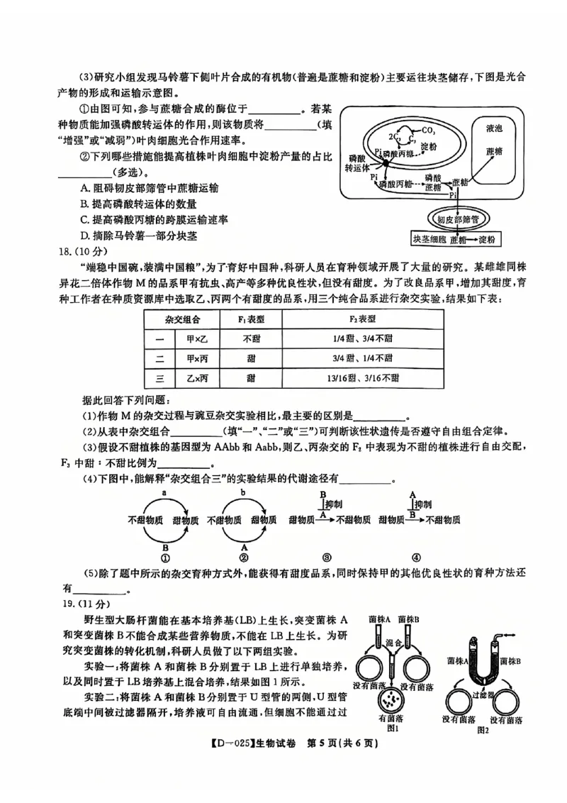 安徽省蚌埠市2024-2025学年高三上学期12月月考生物试题_2024-2025高三（6-6月题库）_2024年12月试卷_1227安徽省皖江名校2024-2025学年高三上学期12月月考D-025
