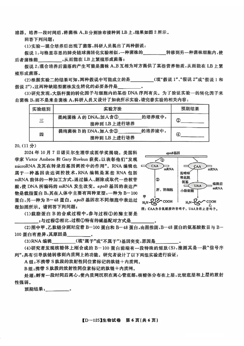 安徽省蚌埠市2024-2025学年高三上学期12月月考生物试题_2024-2025高三（6-6月题库）_2024年12月试卷_1227安徽省皖江名校2024-2025学年高三上学期12月月考D-025