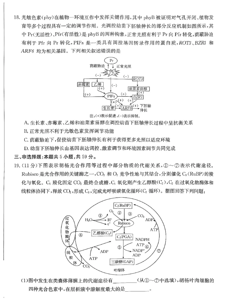 高三生物(1)_2023年11月_0211月合集_2024届河北省廊坊市部分重点高中高三上学期11月期中考试_河北省廊坊市部分重点高中2024届高三上学期11月期中考试生物
