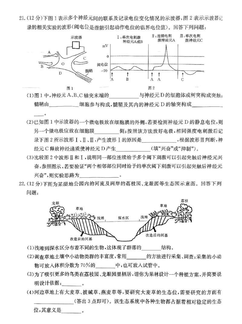 高三生物(1)_2023年11月_0211月合集_2024届河北省廊坊市部分重点高中高三上学期11月期中考试_河北省廊坊市部分重点高中2024届高三上学期11月期中考试生物
