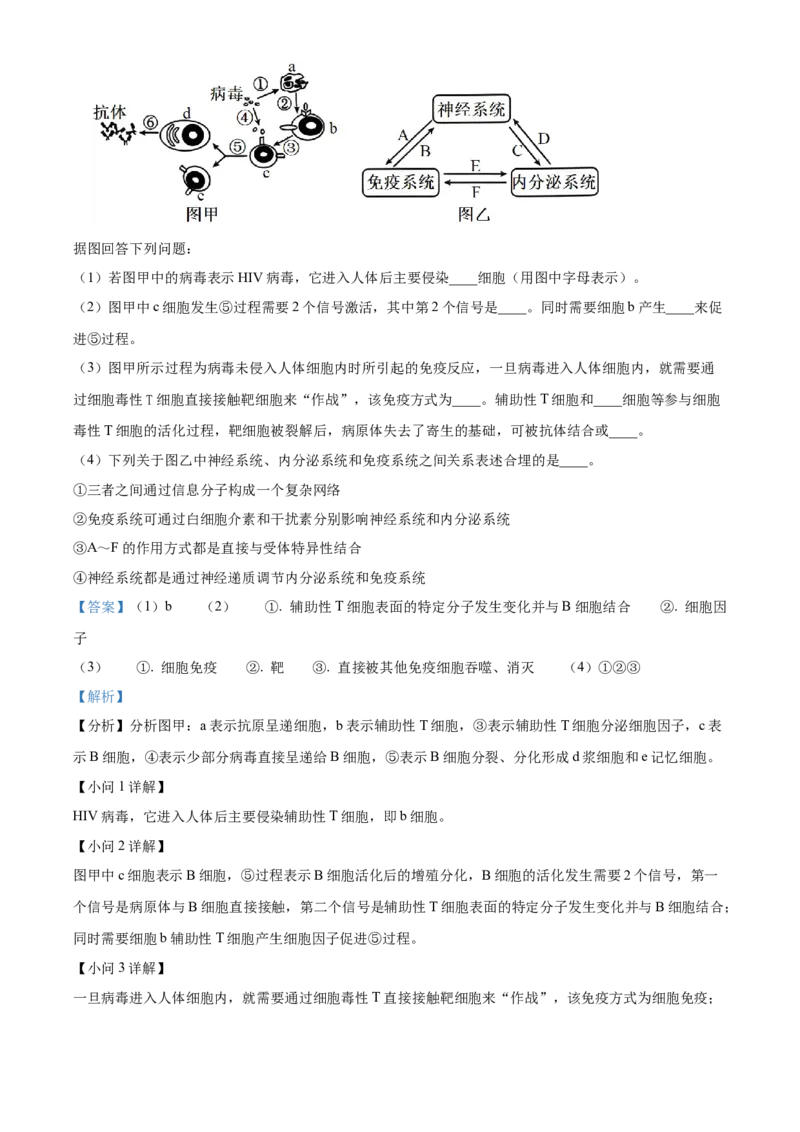 河北省保定市定州市2024-2025学年高二上学期11月期中生物试题Word版含解析_2024-2025高二（7-7月题库）_2024年12月试卷_1216河北省保定市定州市2024-2025学年高二上学期11月期中考试
