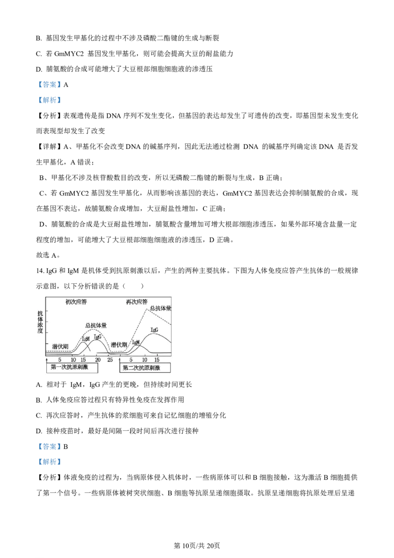 精品解析：2024届广西届南宁市高三二模生物试卷（解析版）(1)_2024年5月_025月合集_2024届广西届南宁市高三二模（金太阳459C）