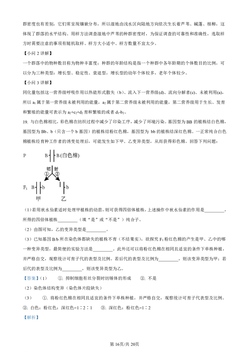 精品解析：2024届广西届南宁市高三二模生物试卷（解析版）(1)_2024年5月_025月合集_2024届广西届南宁市高三二模（金太阳459C）