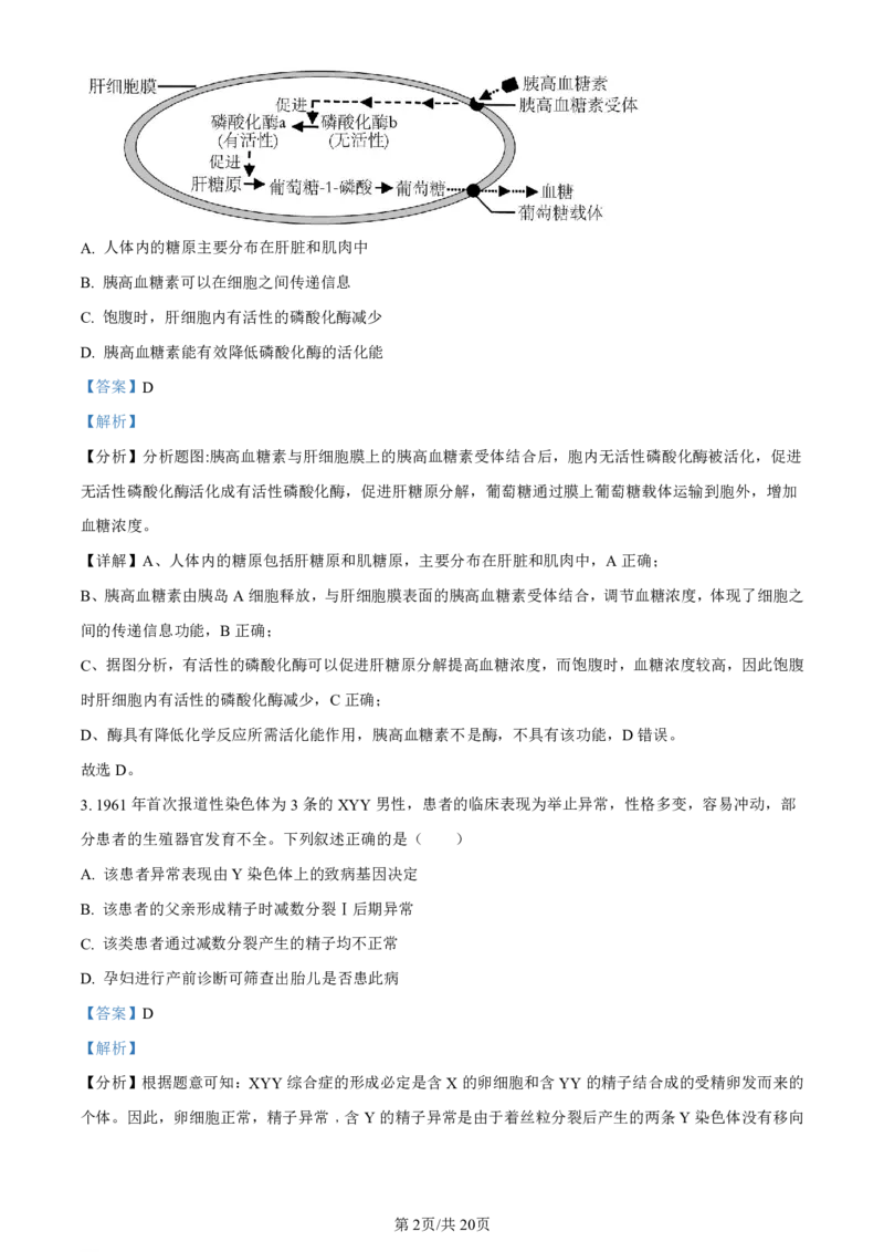精品解析：2024届广西届南宁市高三二模生物试卷（解析版）(1)_2024年5月_025月合集_2024届广西届南宁市高三二模（金太阳459C）