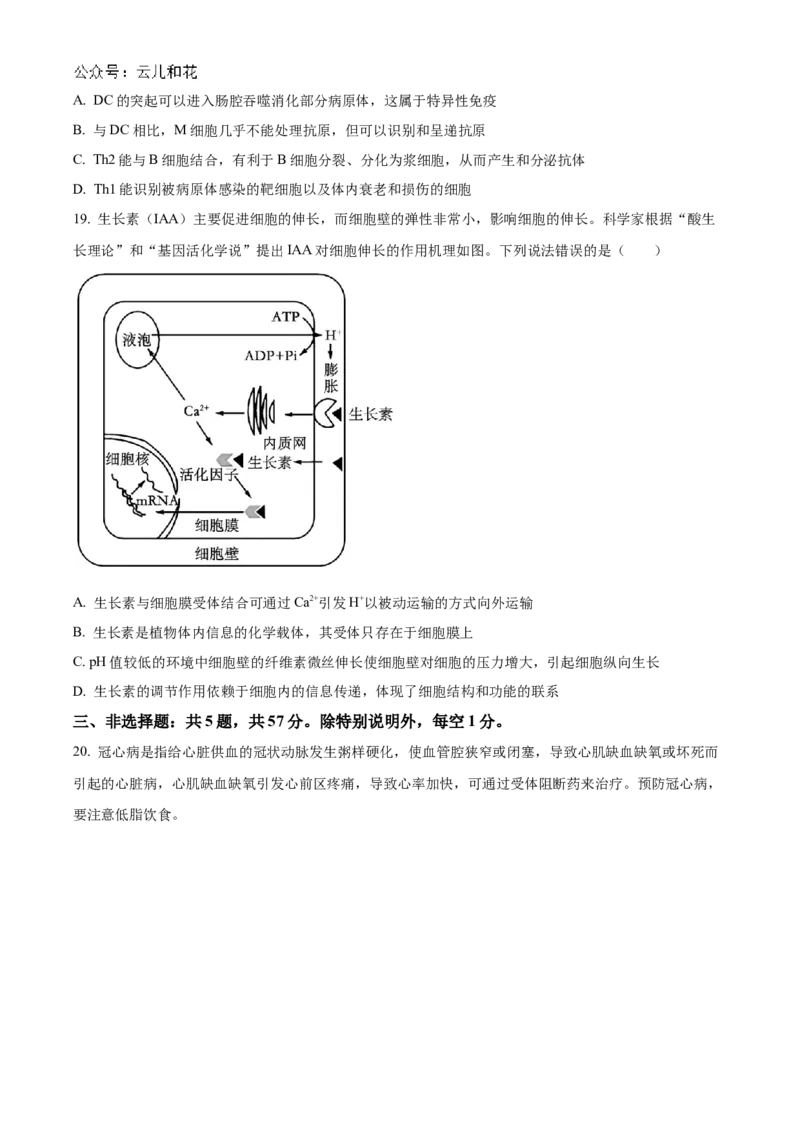 江苏省海安高级中学2024-2025学年高二上学期10月月考试题生物Word版含答案_2024-2025高二（7-7月题库）_2024年11月试卷_1109江苏省海安高级中学2024-2025学年高二上学期10月月考