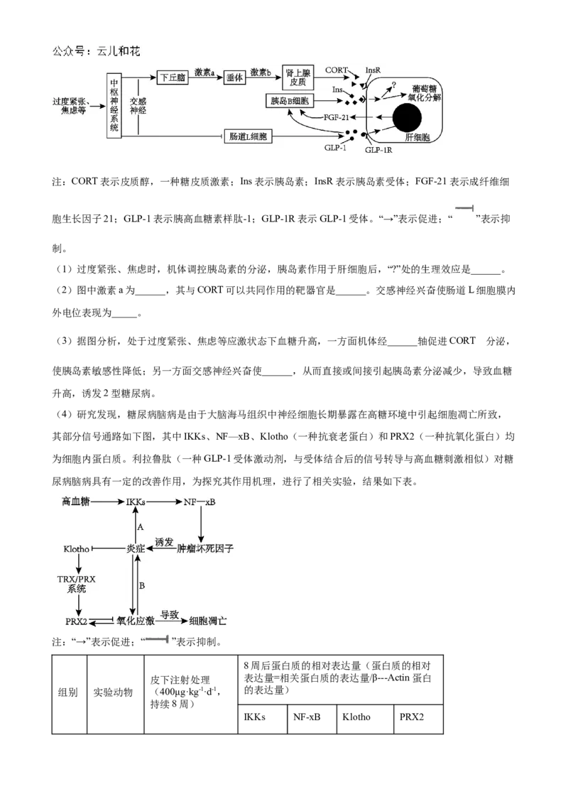 江苏省海安高级中学2024-2025学年高二上学期10月月考试题生物Word版含答案_2024-2025高二（7-7月题库）_2024年11月试卷_1109江苏省海安高级中学2024-2025学年高二上学期10月月考