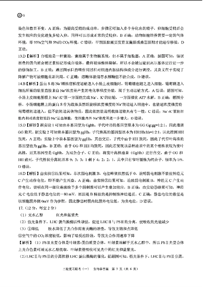 百师联盟2024届高三下学期二轮复习联考（一）生物+答案(1)_2024年4月_024月合集_2024届百师联盟高三二轮复习联考（一）新高考