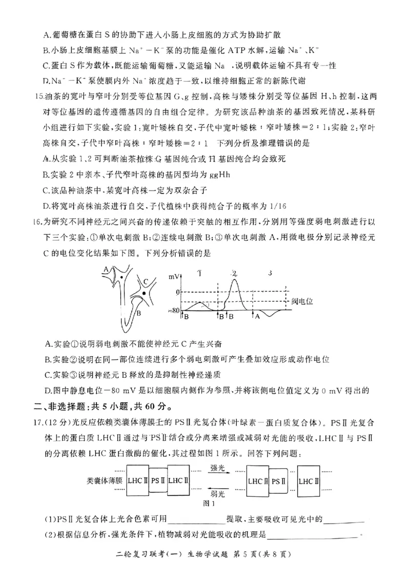 百师联盟2024届高三下学期二轮复习联考（一）生物+答案(1)_2024年4月_024月合集_2024届百师联盟高三二轮复习联考（一）新高考