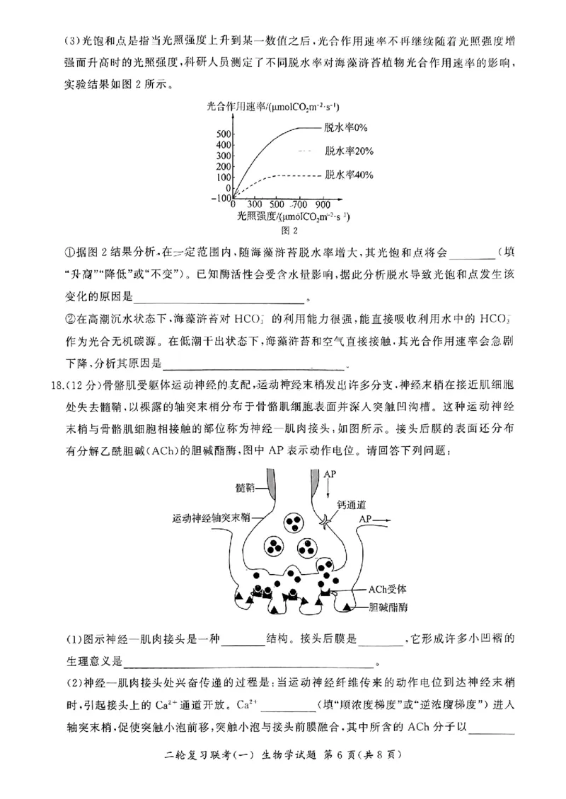 百师联盟2024届高三下学期二轮复习联考（一）生物+答案(1)_2024年4月_024月合集_2024届百师联盟高三二轮复习联考（一）新高考