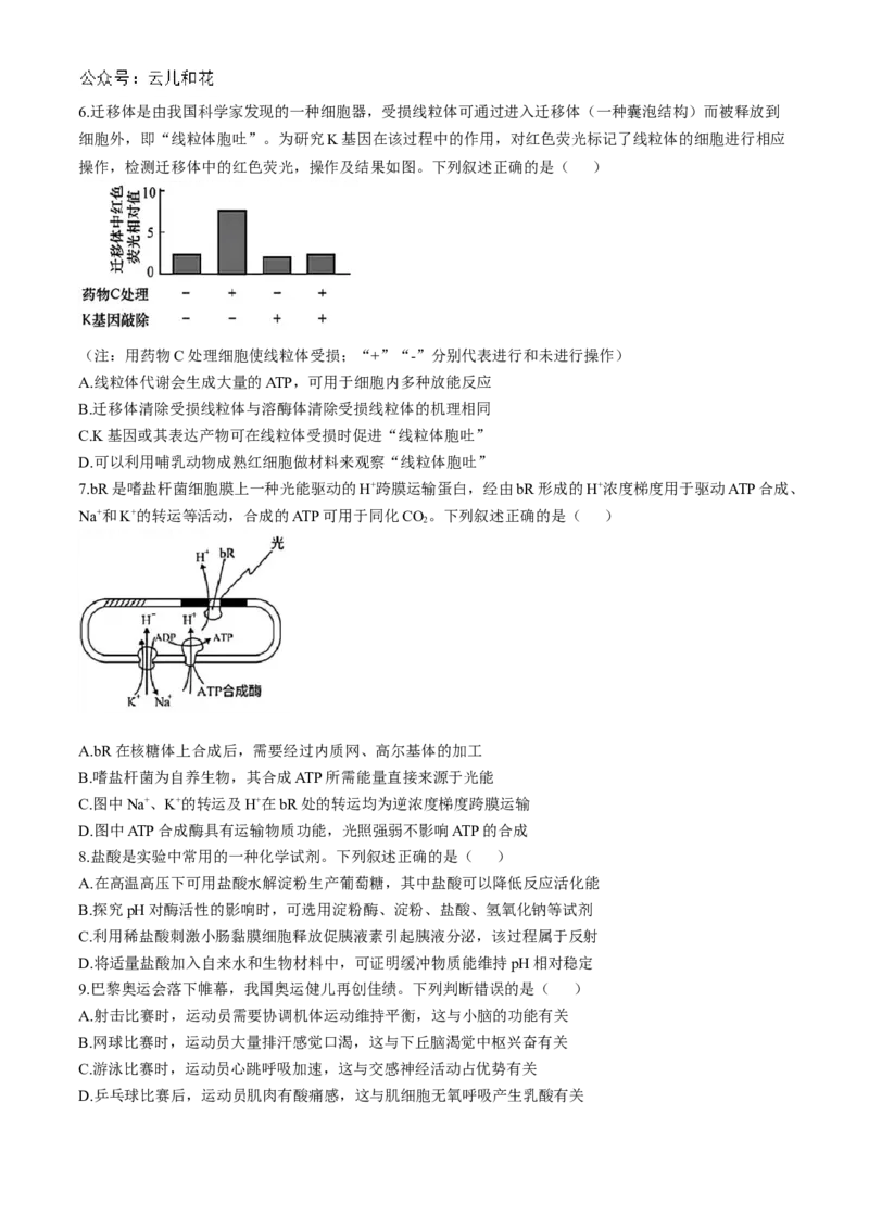 湖北省云学部分重点高中联盟2024-2025学年高二上学期10月联考生物试题Word版含答案_2024-2025高二（7-7月题库）_2024年10月试卷_1029湖北省云学部分重点高中2024-2025学年高二上学期10月月考