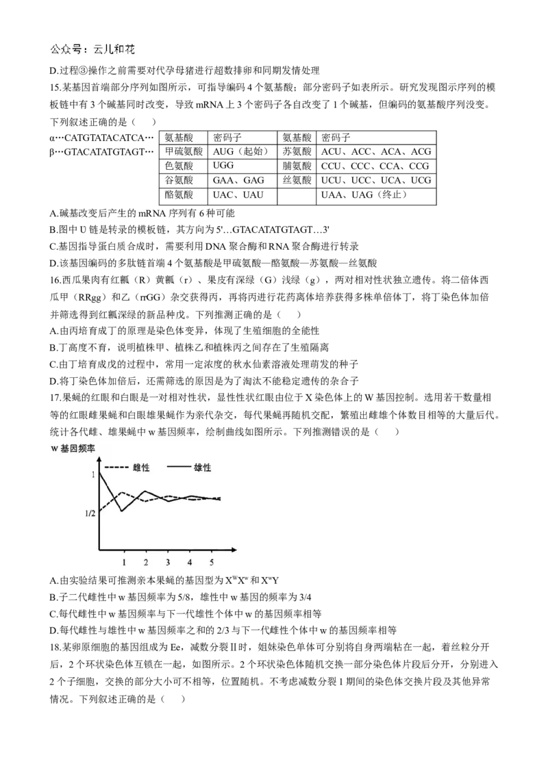 湖北省云学部分重点高中联盟2024-2025学年高二上学期10月联考生物试题Word版含答案_2024-2025高二（7-7月题库）_2024年10月试卷_1029湖北省云学部分重点高中2024-2025学年高二上学期10月月考