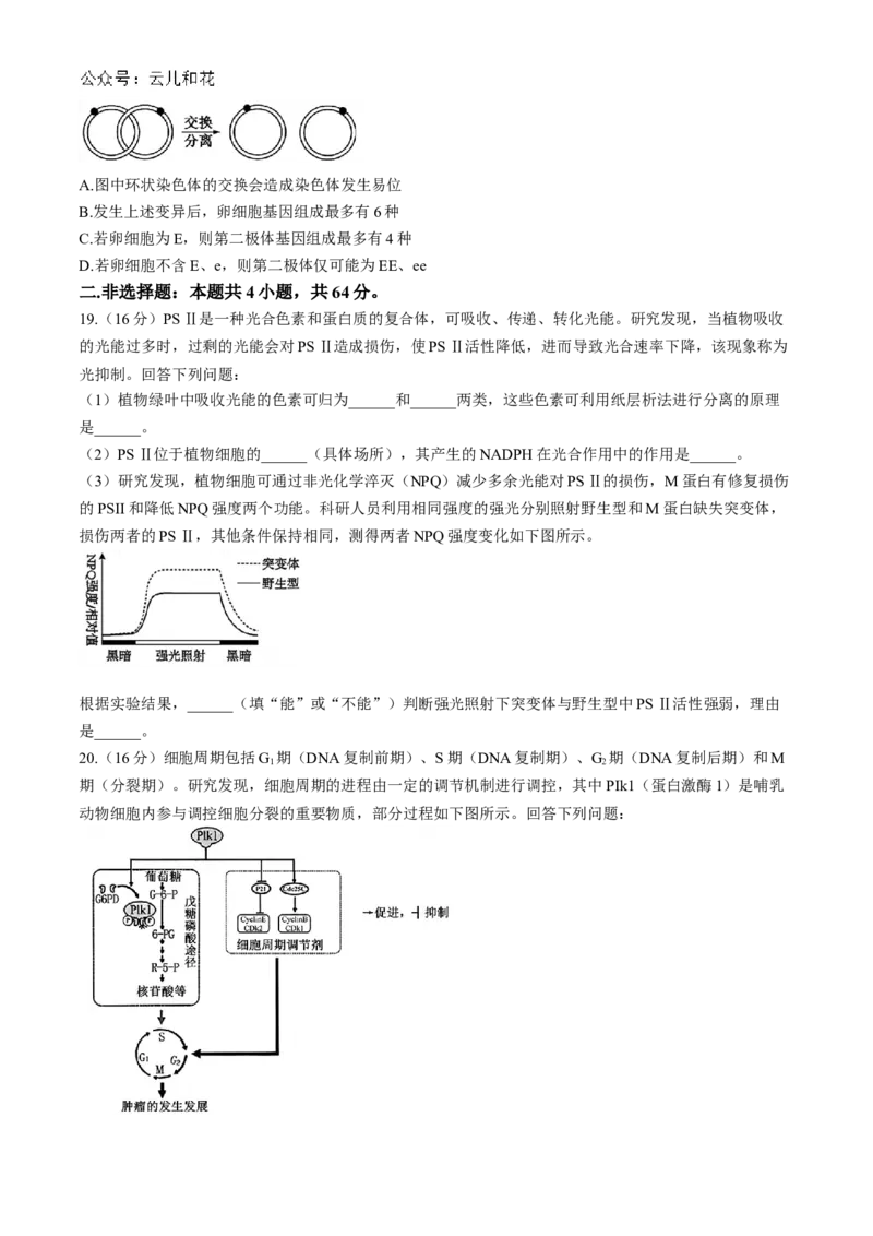 湖北省云学部分重点高中联盟2024-2025学年高二上学期10月联考生物试题Word版含答案_2024-2025高二（7-7月题库）_2024年10月试卷_1029湖北省云学部分重点高中2024-2025学年高二上学期10月月考