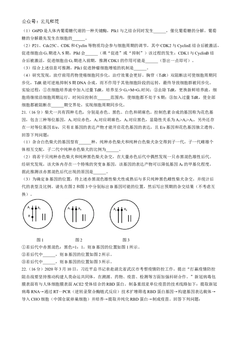 湖北省云学部分重点高中联盟2024-2025学年高二上学期10月联考生物试题Word版含答案_2024-2025高二（7-7月题库）_2024年10月试卷_1029湖北省云学部分重点高中2024-2025学年高二上学期10月月考