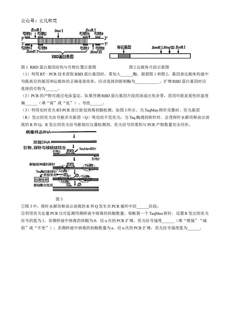 湖北省云学部分重点高中联盟2024-2025学年高二上学期10月联考生物试题Word版含答案_2024-2025高二（7-7月题库）_2024年10月试卷_1029湖北省云学部分重点高中2024-2025学年高二上学期10月月考