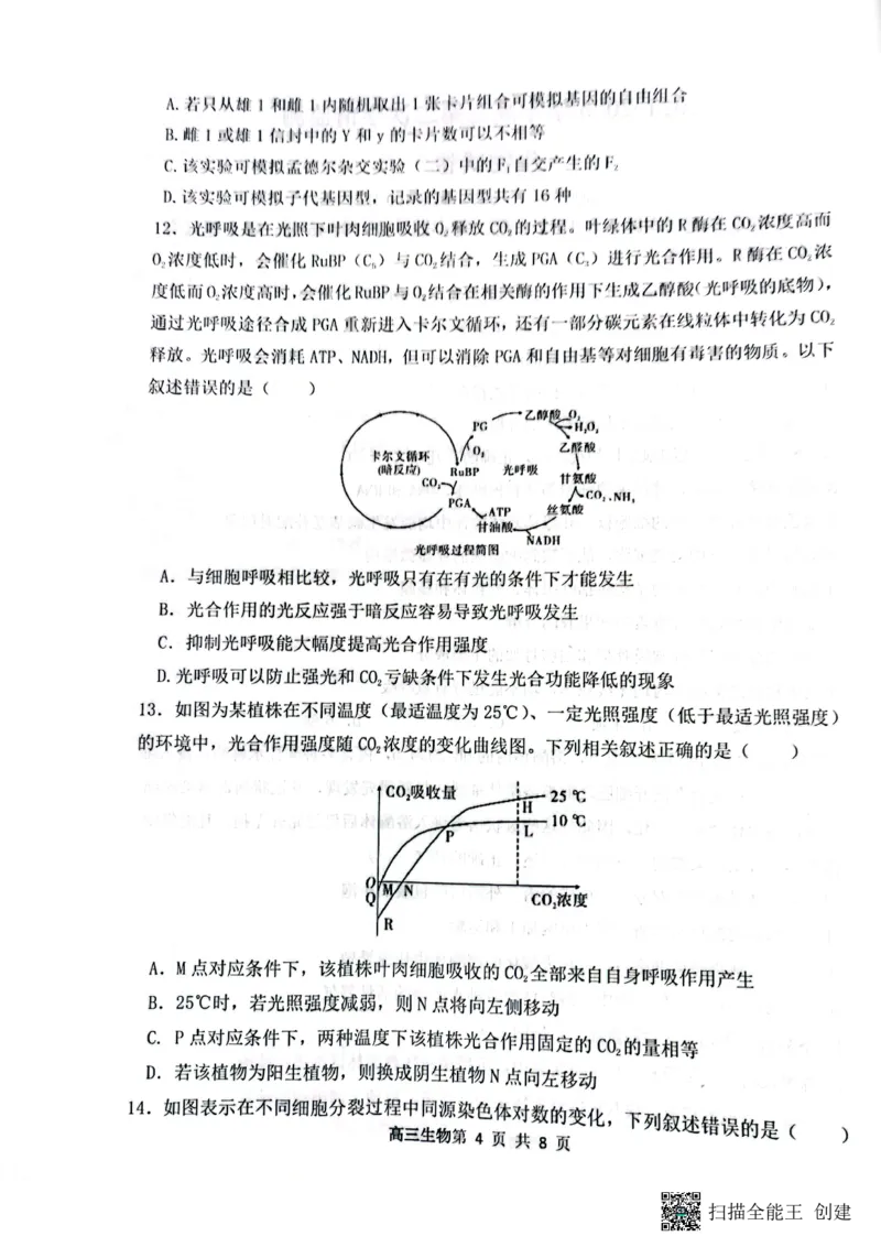 山西省大同市第一中学校2024-2025学年高三上学期9月月考生物_2024-2025高三（6-6月题库）_2024年10月试卷_1003山西省大同市第一中学校2024-2025学年高三上学期9月月考