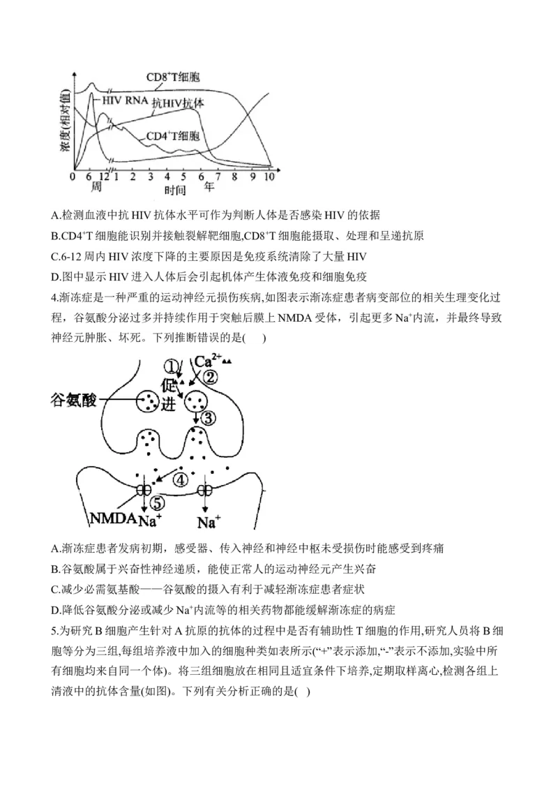专题9人体生命活动的调节（选择题）&mdash;&mdash;高考生物学模块分练新高考版（含解析）_2024-2025高三（6-6月题库）_2026年1月高三