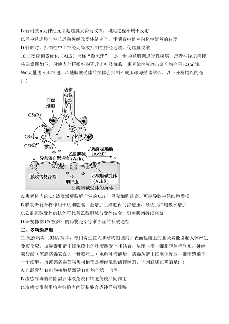 专题9人体生命活动的调节（选择题）&mdash;&mdash;高考生物学模块分练新高考版（含解析）_2024-2025高三（6-6月题库）_2026年1月高三