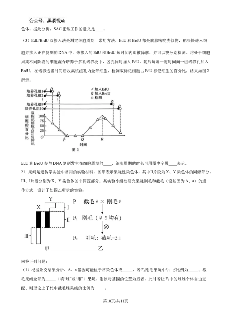 江西省南昌市第十中学2024-2025学年高三上学期第一次月考生物_2024-2025高三（6-6月题库）_2024年10月试卷_1026江西省南昌市第十中学2024-2025学年高三上学期第一次月考（全）