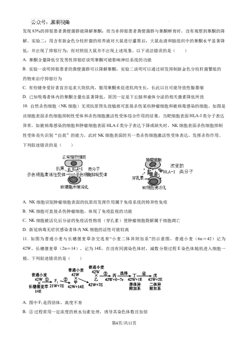 江西省南昌市第十中学2024-2025学年高三上学期第一次月考生物_2024-2025高三（6-6月题库）_2024年10月试卷_1026江西省南昌市第十中学2024-2025学年高三上学期第一次月考（全）