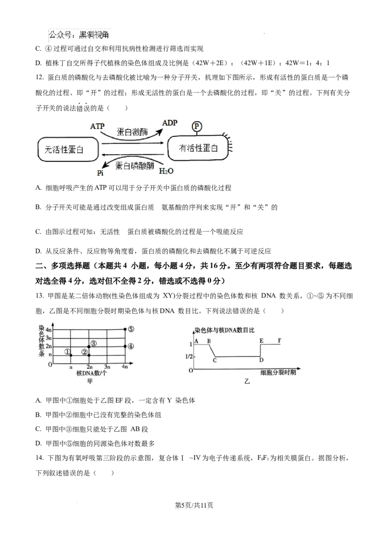 江西省南昌市第十中学2024-2025学年高三上学期第一次月考生物_2024-2025高三（6-6月题库）_2024年10月试卷_1026江西省南昌市第十中学2024-2025学年高三上学期第一次月考（全）