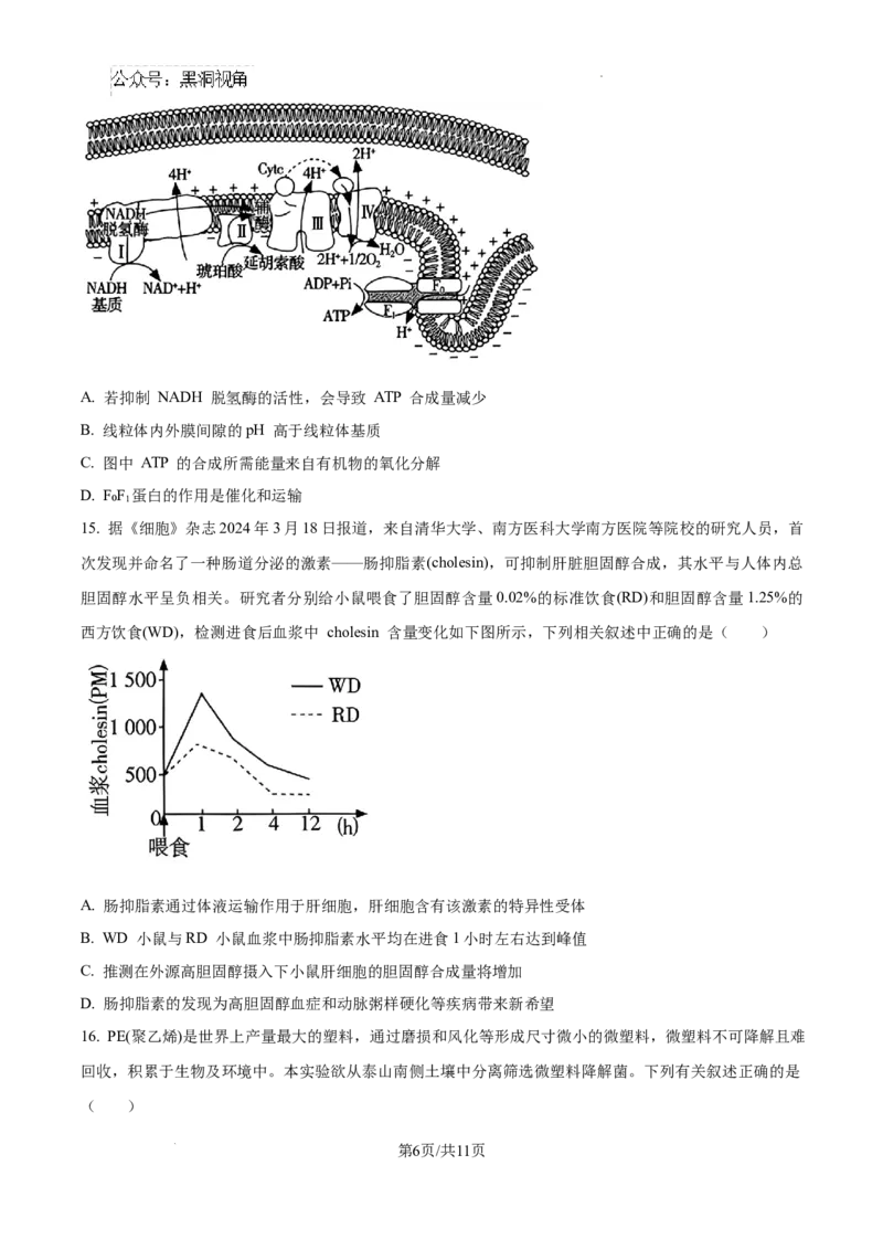 江西省南昌市第十中学2024-2025学年高三上学期第一次月考生物_2024-2025高三（6-6月题库）_2024年10月试卷_1026江西省南昌市第十中学2024-2025学年高三上学期第一次月考（全）