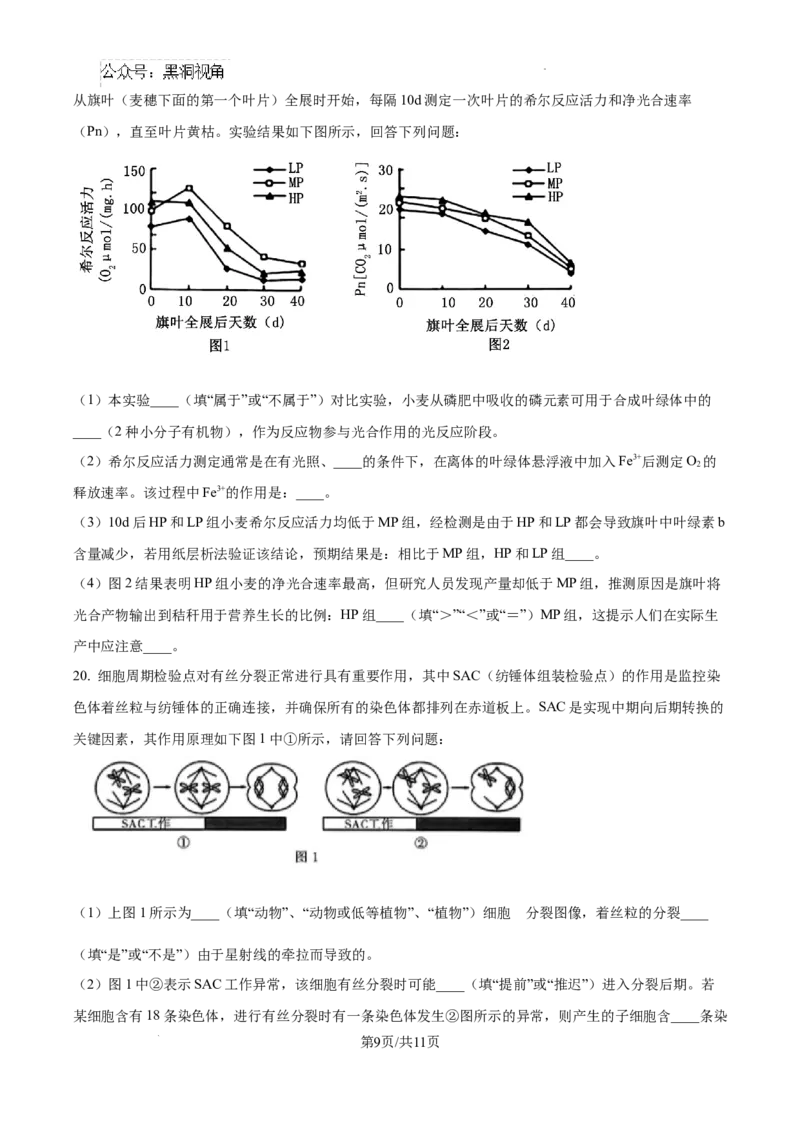 江西省南昌市第十中学2024-2025学年高三上学期第一次月考生物_2024-2025高三（6-6月题库）_2024年10月试卷_1026江西省南昌市第十中学2024-2025学年高三上学期第一次月考（全）