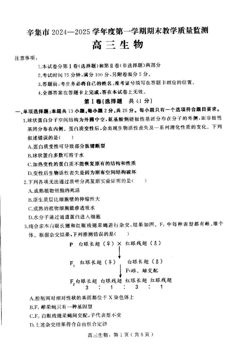 河北省石家庄市辛集市2025届高三上学期1月期末生物_2024-2025高三（6-6月题库）_2025年02月试卷_0202河北省石家庄市辛集市2025届高三上学期1月期末考试（全科）