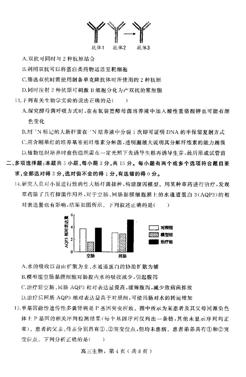 河北省石家庄市辛集市2025届高三上学期1月期末生物_2024-2025高三（6-6月题库）_2025年02月试卷_0202河北省石家庄市辛集市2025届高三上学期1月期末考试（全科）