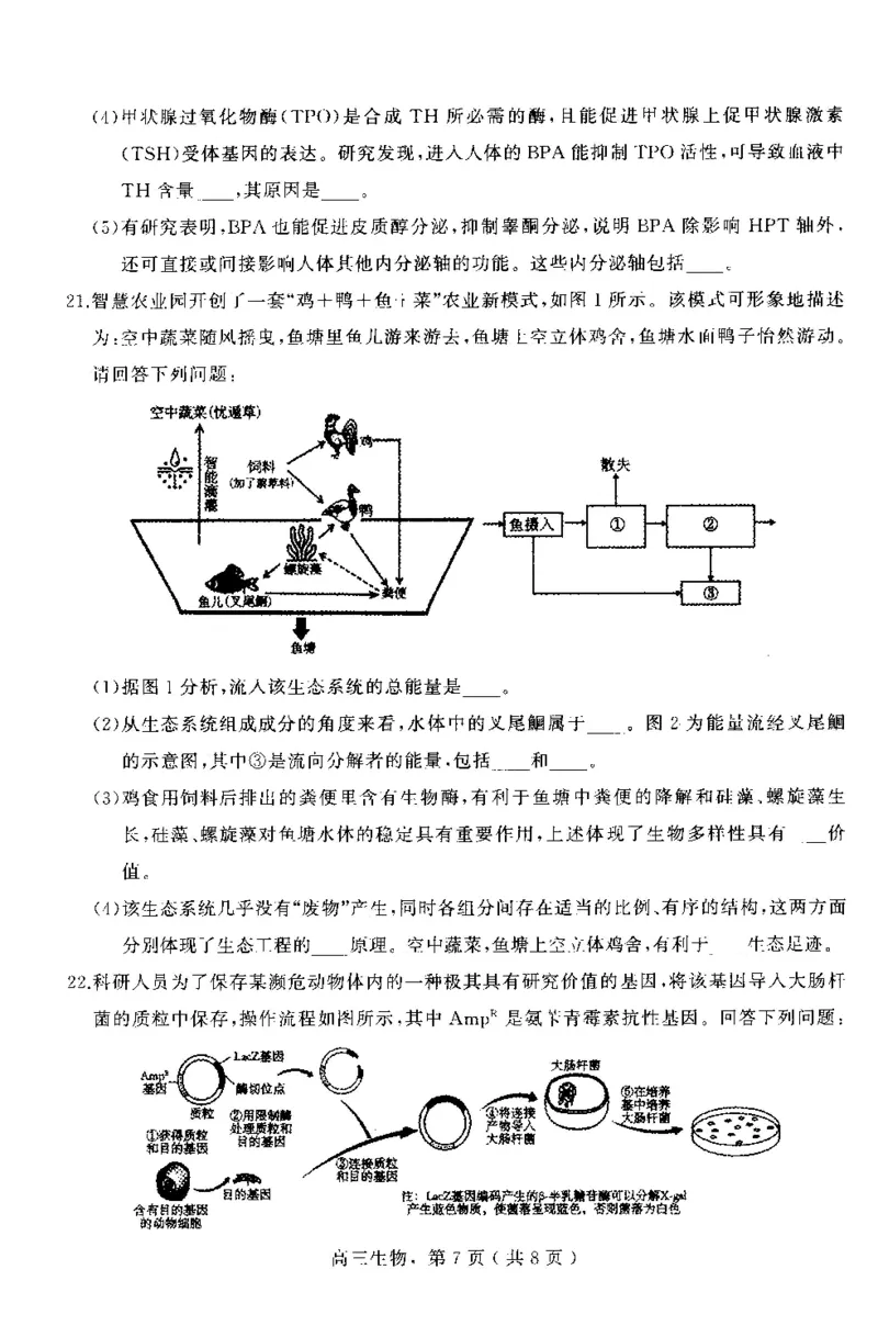 河北省石家庄市辛集市2025届高三上学期1月期末生物_2024-2025高三（6-6月题库）_2025年02月试卷_0202河北省石家庄市辛集市2025届高三上学期1月期末考试（全科）