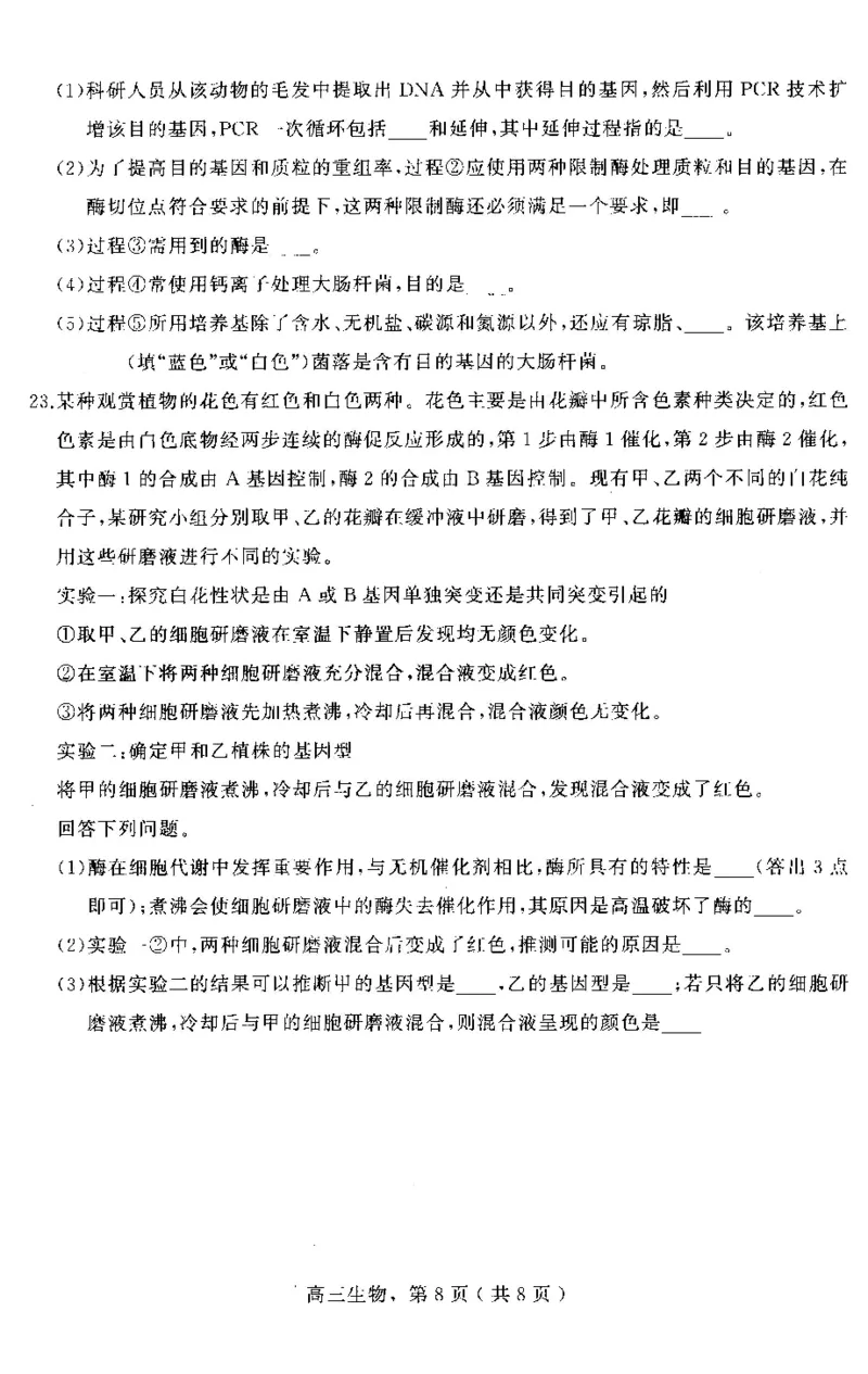 河北省石家庄市辛集市2025届高三上学期1月期末生物_2024-2025高三（6-6月题库）_2025年02月试卷_0202河北省石家庄市辛集市2025届高三上学期1月期末考试（全科）
