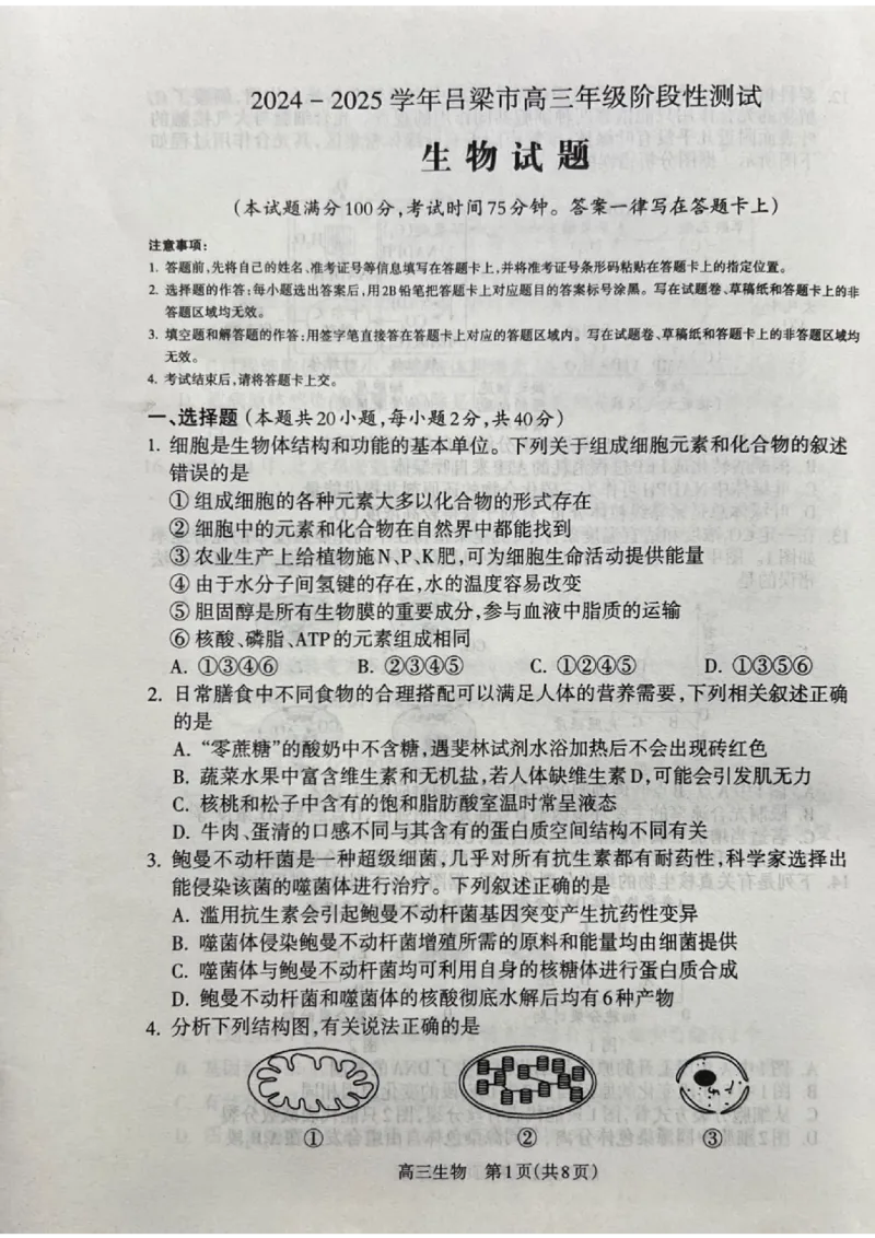 山西省吕梁市2024-2025学年高三上学期11月期中生物试题_2024-2025高三（6-6月题库）_2024年11月试卷_1105山西省吕梁市2024-2025学年高三上学期11月期中
