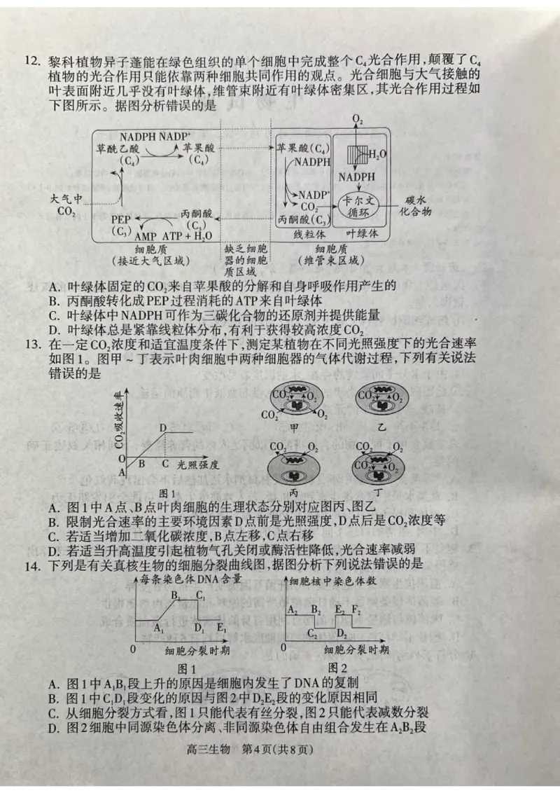 山西省吕梁市2024-2025学年高三上学期11月期中生物试题_2024-2025高三（6-6月题库）_2024年11月试卷_1105山西省吕梁市2024-2025学年高三上学期11月期中