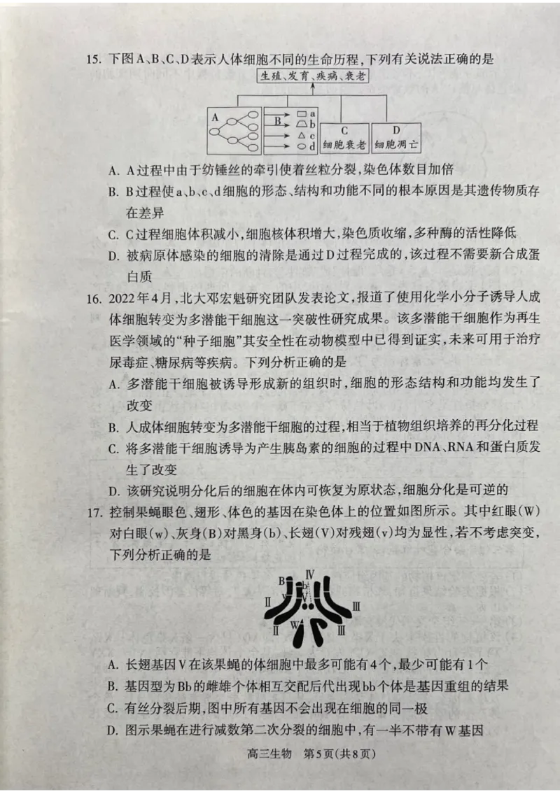 山西省吕梁市2024-2025学年高三上学期11月期中生物试题_2024-2025高三（6-6月题库）_2024年11月试卷_1105山西省吕梁市2024-2025学年高三上学期11月期中