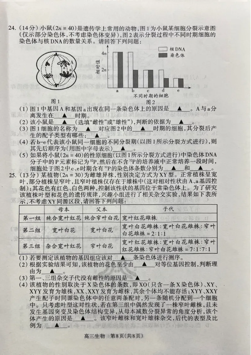 山西省吕梁市2024-2025学年高三上学期11月期中生物试题_2024-2025高三（6-6月题库）_2024年11月试卷_1105山西省吕梁市2024-2025学年高三上学期11月期中