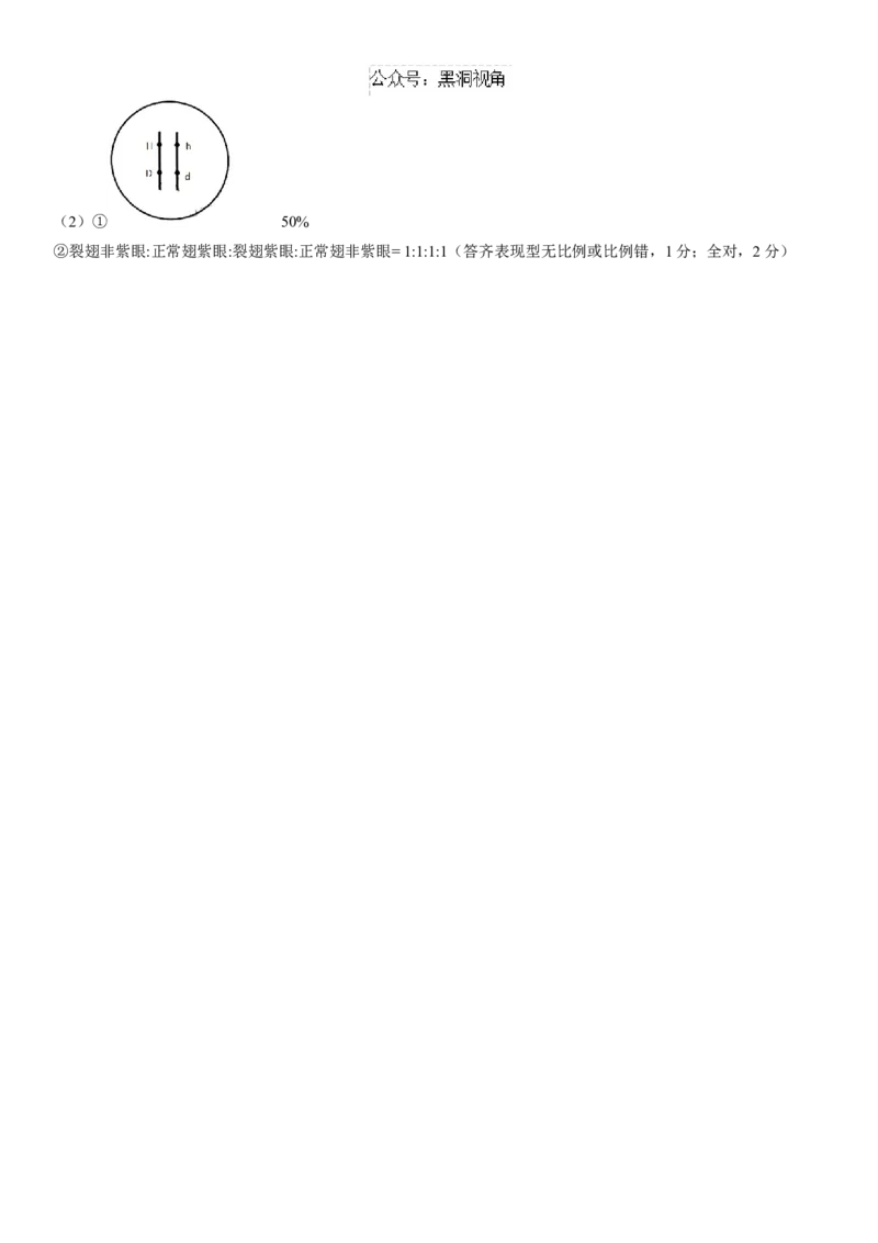 广东省华南师范大学附属中学2024-2025学年高三上学期11月综合测试（二）生物Word版含答案_2024-2025高三（6-6月题库）_2024年11月试卷