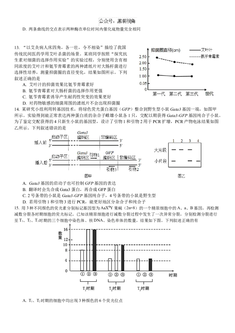 广东省华南师范大学附属中学2024-2025学年高三上学期11月综合测试（二）生物Word版含答案_2024-2025高三（6-6月题库）_2024年11月试卷
