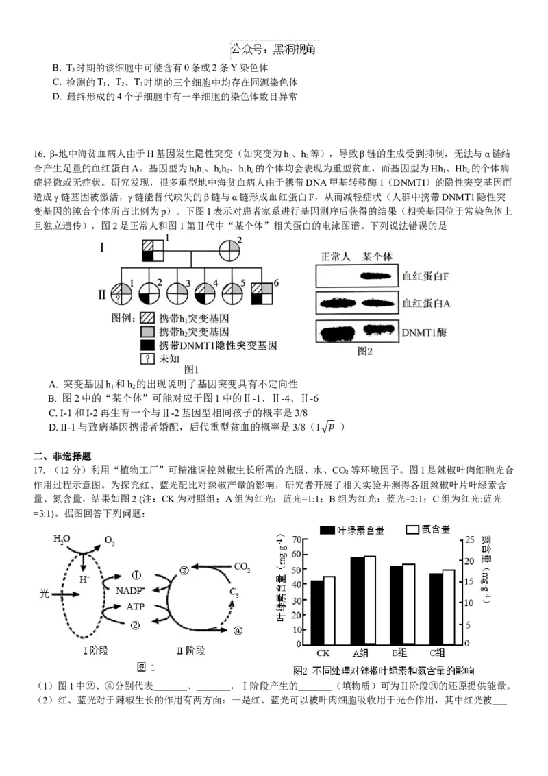 广东省华南师范大学附属中学2024-2025学年高三上学期11月综合测试（二）生物Word版含答案_2024-2025高三（6-6月题库）_2024年11月试卷