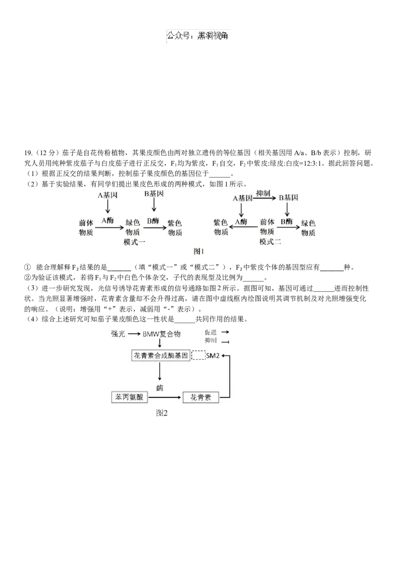 广东省华南师范大学附属中学2024-2025学年高三上学期11月综合测试（二）生物Word版含答案_2024-2025高三（6-6月题库）_2024年11月试卷
