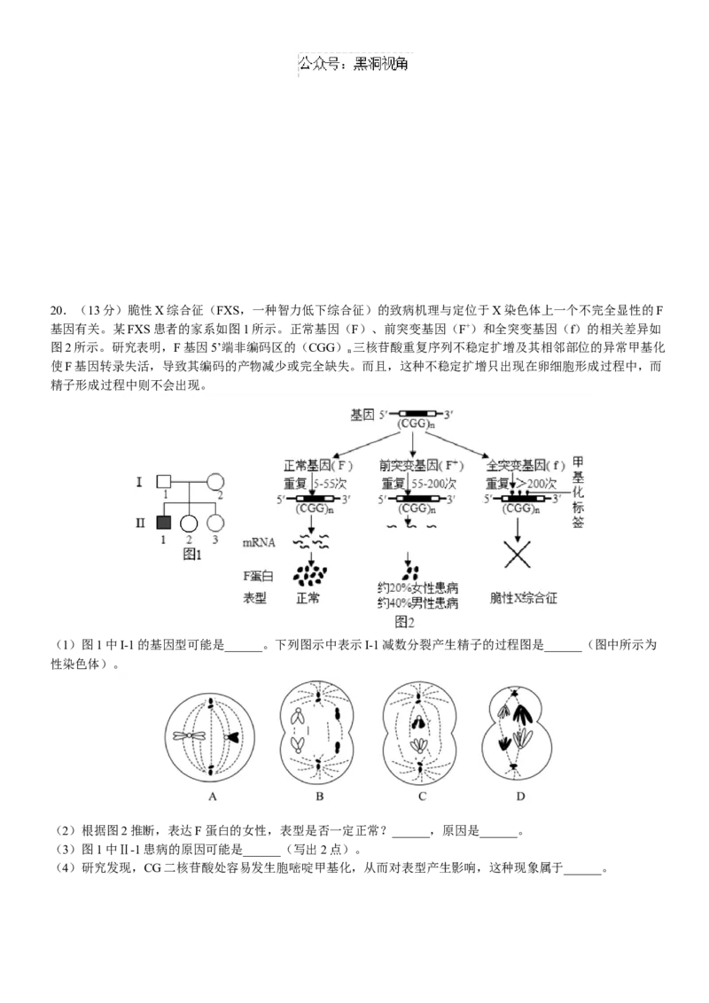 广东省华南师范大学附属中学2024-2025学年高三上学期11月综合测试（二）生物Word版含答案_2024-2025高三（6-6月题库）_2024年11月试卷
