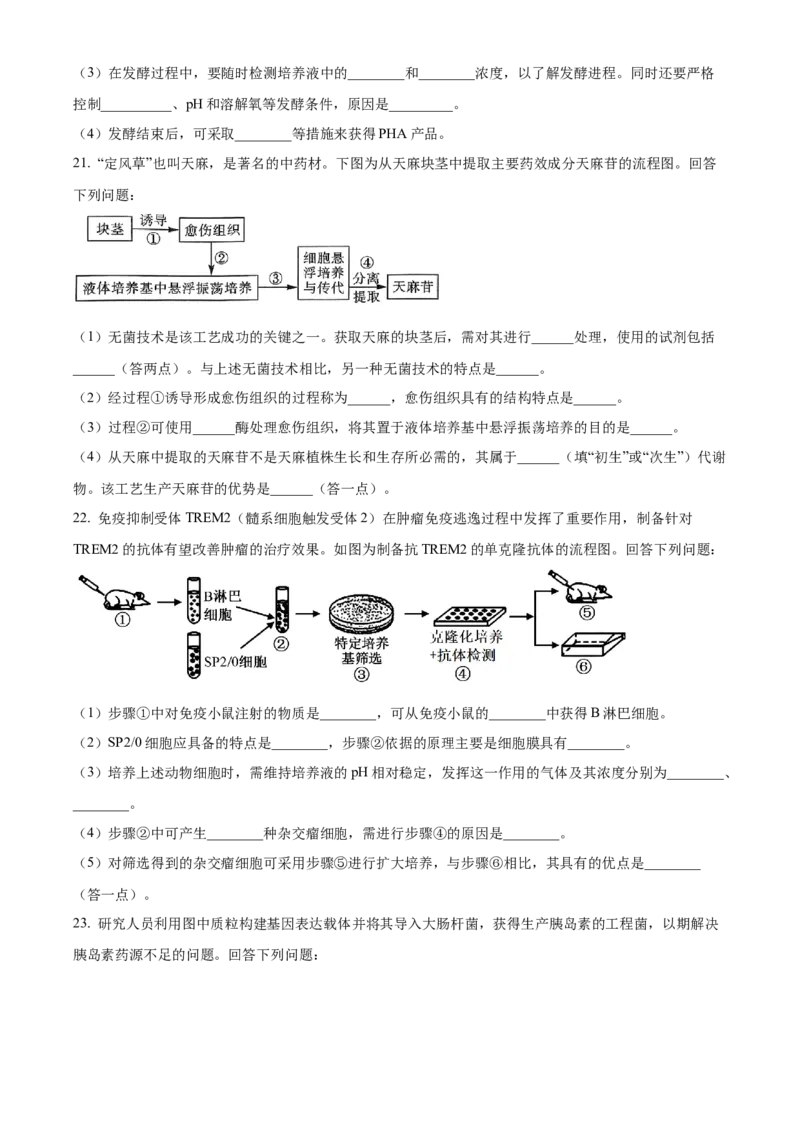 河北省衡水市2024-2025学年高二下学期期中考试生物试题（含答案）_2024-2025高二（7-7月题库）_2025年05月试卷_0530河北省衡水市2024-2025学年高二下学期4月期中联考试题