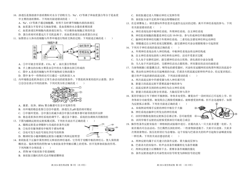 南充高中高20024级高二上学期第一次月考（生物试题）_2025年10月高二试卷_251018四川省南充高级中学2025-2026学年高二上学期10月月考试题（全）