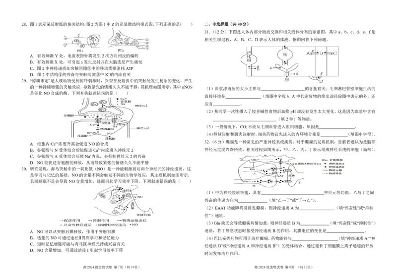 南充高中高20024级高二上学期第一次月考（生物试题）_2025年10月高二试卷_251018四川省南充高级中学2025-2026学年高二上学期10月月考试题（全）